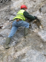 -calcite search (19-03-2011)