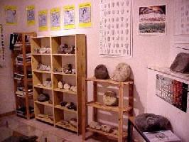 Un coin du musée Paleo3j