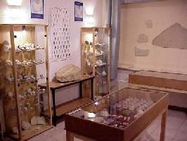 Les vitrines du musée Paleo3j border=