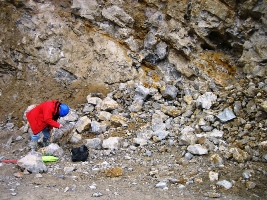 -calcite search (19-03-2011)